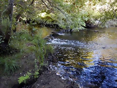 DSCN9727 DSCN9727