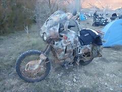 PC203738 PC203738