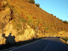 DSCN6530 DSCN6530