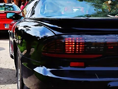 DSC_0772 DSC_0772