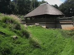National Geological Gardens Pretoria + Sterkfontein Cave 21-3-09 186 National Geological Gardens Pretoria + Sterkfontein Cave 21-3-09 186