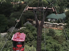 National Geological Gardens Pretoria + Sterkfontein Cave 21-3-09 148 National Geological Gardens Pretoria + Sterkfontein Cave 21-3-09 148