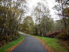 DSCN1177 DSCN1177