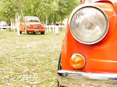P1070371 P1070371