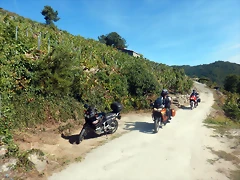 DSCN0480 DSCN0480