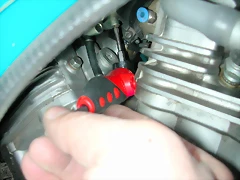 DSCN6401