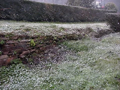DSCN7459 DSCN7459