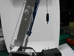 P7190006 P7190006