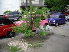 SAM_0421