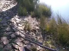 Aguas contaminadas al Balneario.jpg (11)