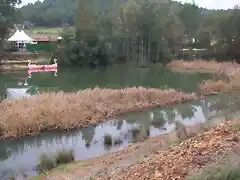 Aguas contaminadas al Balneario.jpg (43)