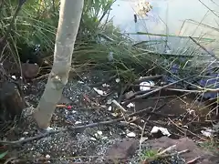 Aguas contaminadas al Balneario.jpg (12)