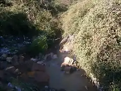 Aguas contaminadas al Balneario.jpg (44)