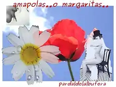 amapolas