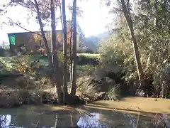 Aguas contaminadas al Balneario.jpg (27)