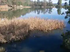 Aguas contaminadas al Balneario.jpg (51)