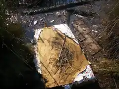 Aguas contaminadas al Balneario.jpg (23)