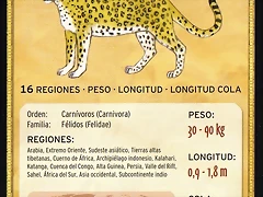 leopardo