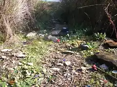 Aguas contaminadas al Balneario.jpg (20)