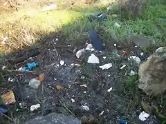 Aguas contaminadas al Balneario.jpg (2)