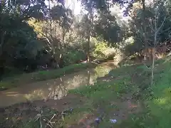 Aguas contaminadas al Balneario.jpg (29)