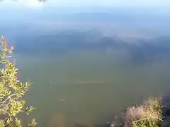 Aguas contaminadas al Balneario.jpg