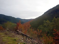 DSCN3093 DSCN3093
