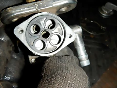 DSCN5713 DSCN5713
