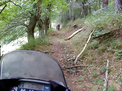 DSCN9728 DSCN9728