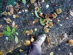 DSCN0039 DSCN0039
