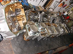 DSCN1147 DSCN1147