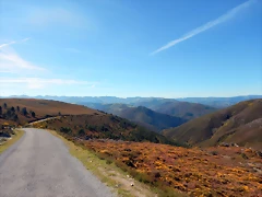DSCN0962