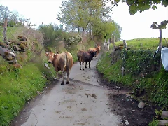 DSCN9132 DSCN9132