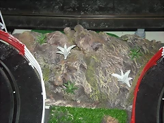 Esquinas 004 (Small)