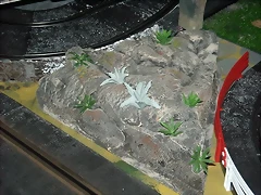 Esquinas 005 (Small)
