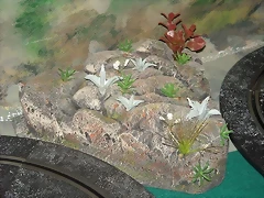 Esquinas 007 (Small)