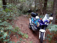 DSCN7350 DSCN7350