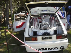 SDC13501 SDC13501