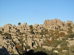 A106