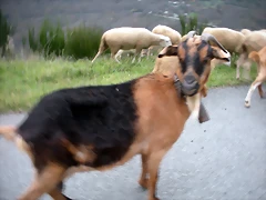 DSCN0813 DSCN0813