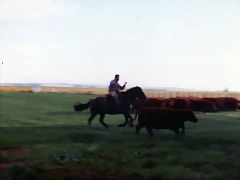 img129