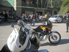 IMG_0984 IMG_0984