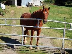 DSCN2368 DSCN2368