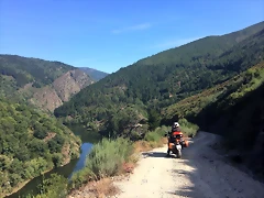 navia