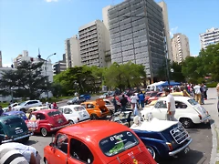 P1180664 P1180664