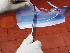 DSCF1239 DSCF1239