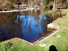 DSCN1064 DSCN1064