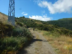 DSCN3542 DSCN3542