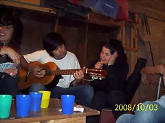 pimpinela pimpinela