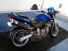 honda hornet